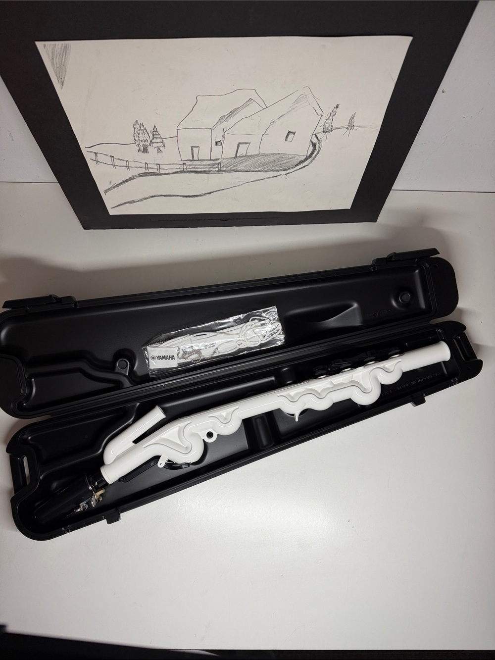 Yamaha Alto Venova YVS-100 2 Pieces Wind Instrument